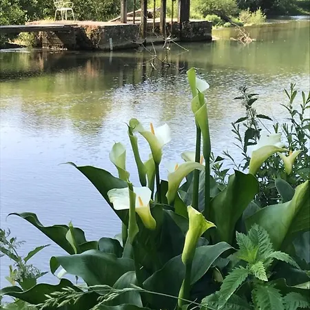 Bed & Breakfast Le Moulin De Villiers Gudmont-Villiers