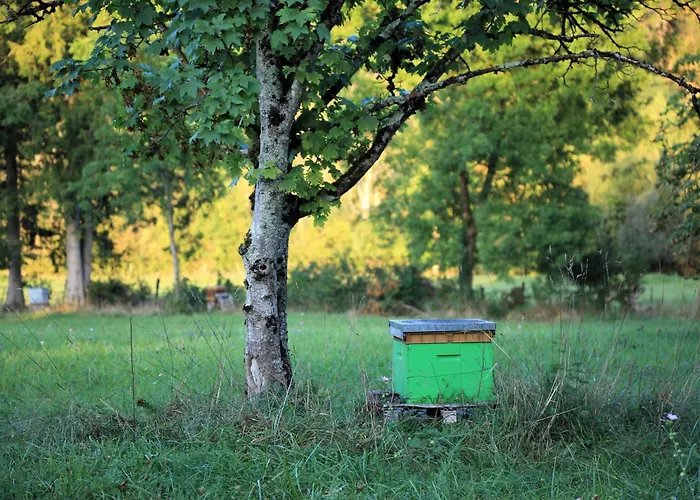 Bed & Breakfast Le Moulin De Villiers